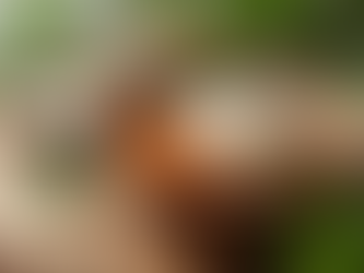 Unique Homemade Beauty Products to Try