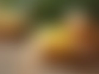 Grassfed Beef Beauty: DIY Lip Balms and Sunscreen Recipes