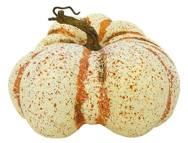 Cream & Orange Specked Pumpkin
