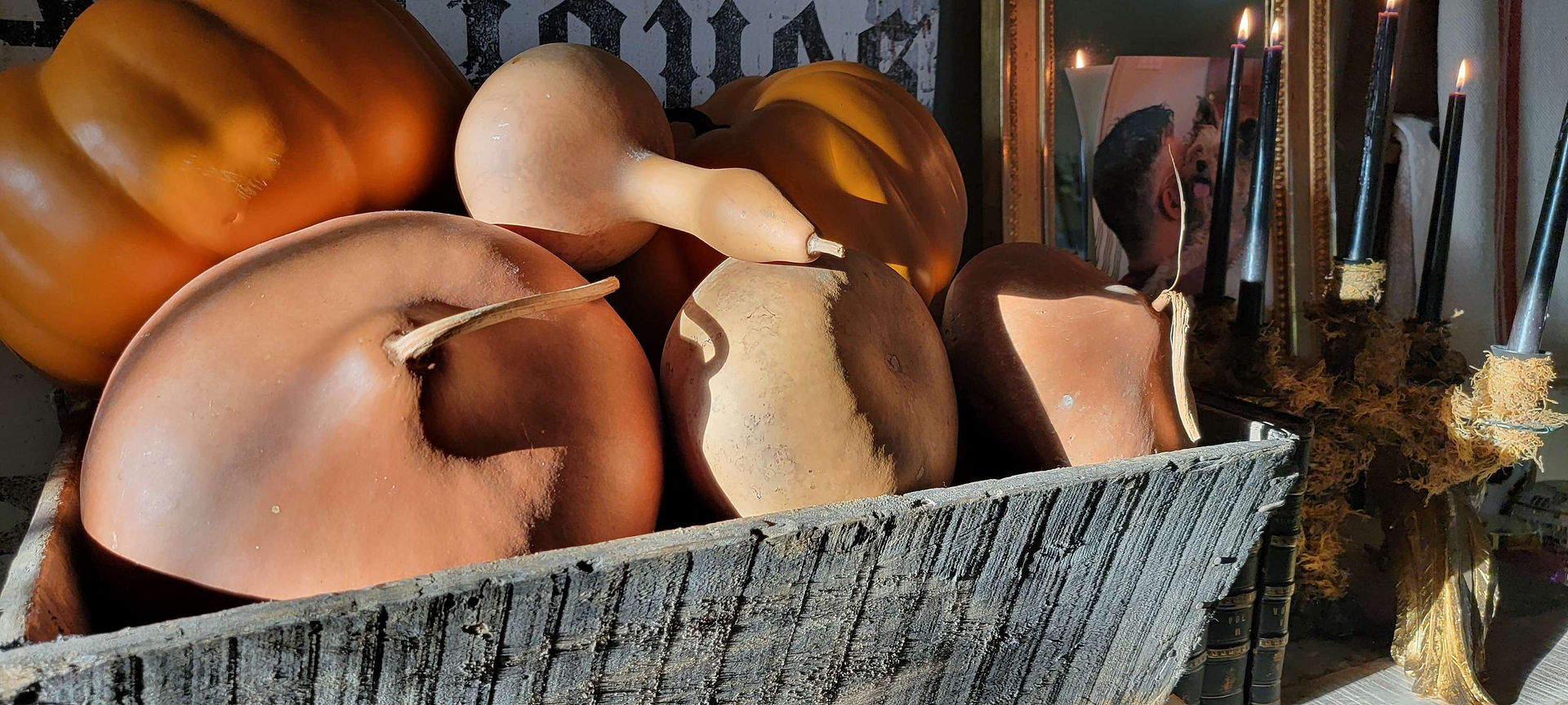 Gourds