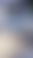 Ali wearing a Free People barn jacket in paired with lane boots and a Vintage lace skirt