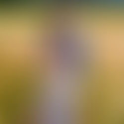 Ali wearing Free People in her boho western style in a field of wild flowers