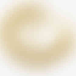 LANE WOODS Gold Bracelets for Women 14k Gold Plated