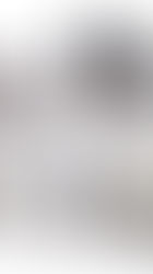 Jeanne d' Arc Living Magazine