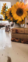 Vintage books