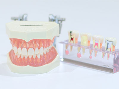 oral_photo.jpg