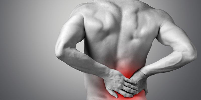 Movement Therapy for Deep Treatment Work: Low Back and Pelvis: 6-hour CE