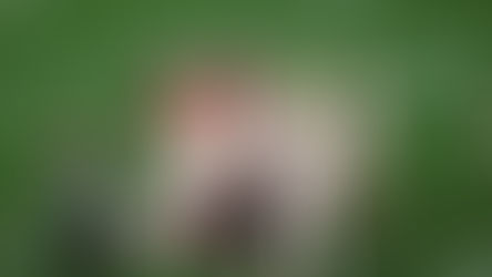 VOLS DEFENSE: Carnage on the Field 