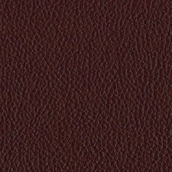 tawny 2502.jpg
