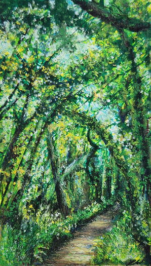 Wingfield Road, Old Road Town, St Kitts & Nevis, by Linda Wallentine