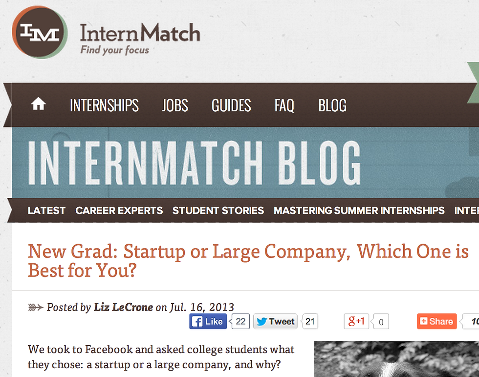 Startup or Large Company?