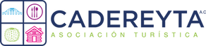 FONDO CLARO (3).png