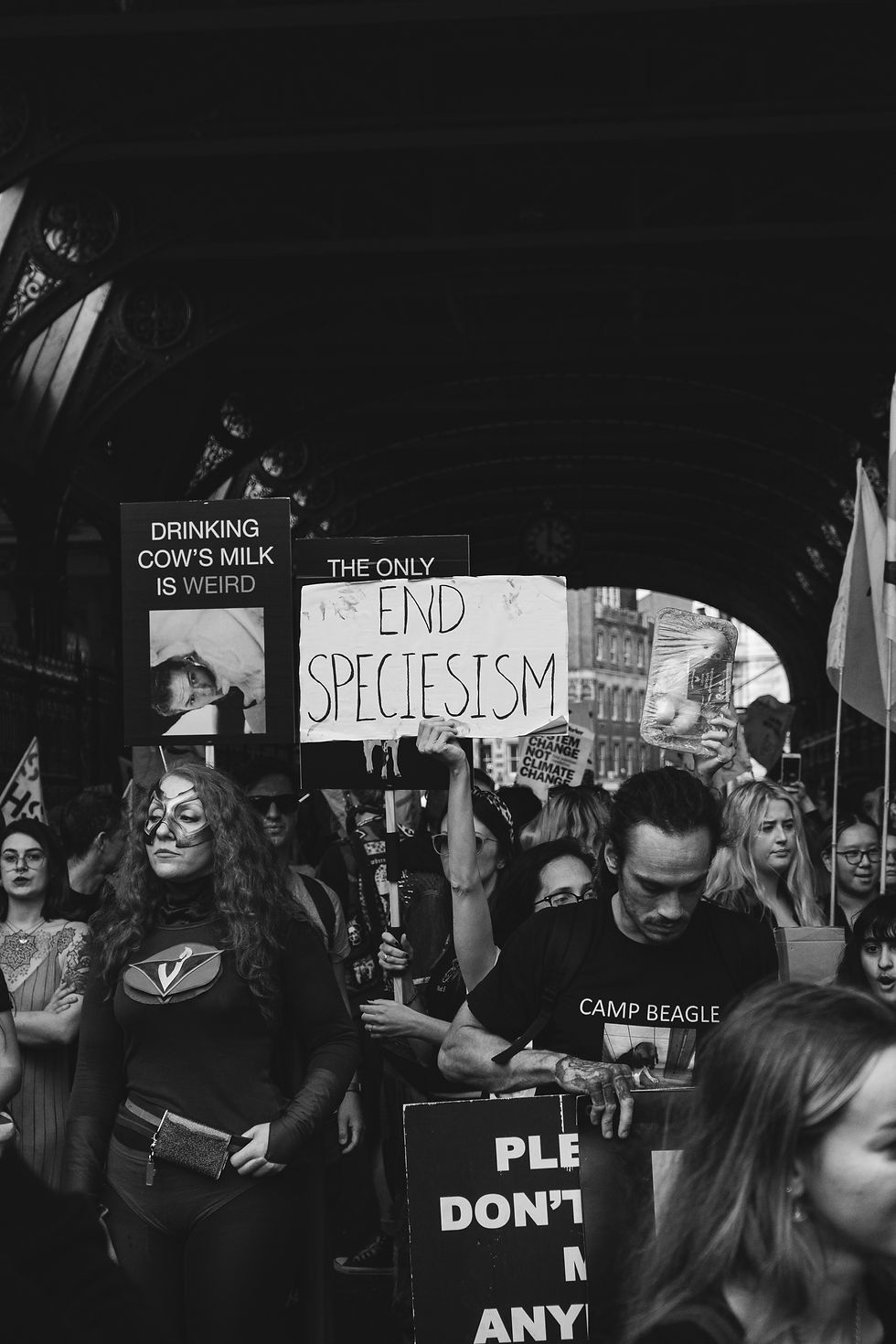 Speciesism: Why It's an Ethical Issue and Its Impact on Everyday Choices