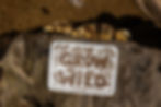 Thumbnail: Grow Wild Sticker