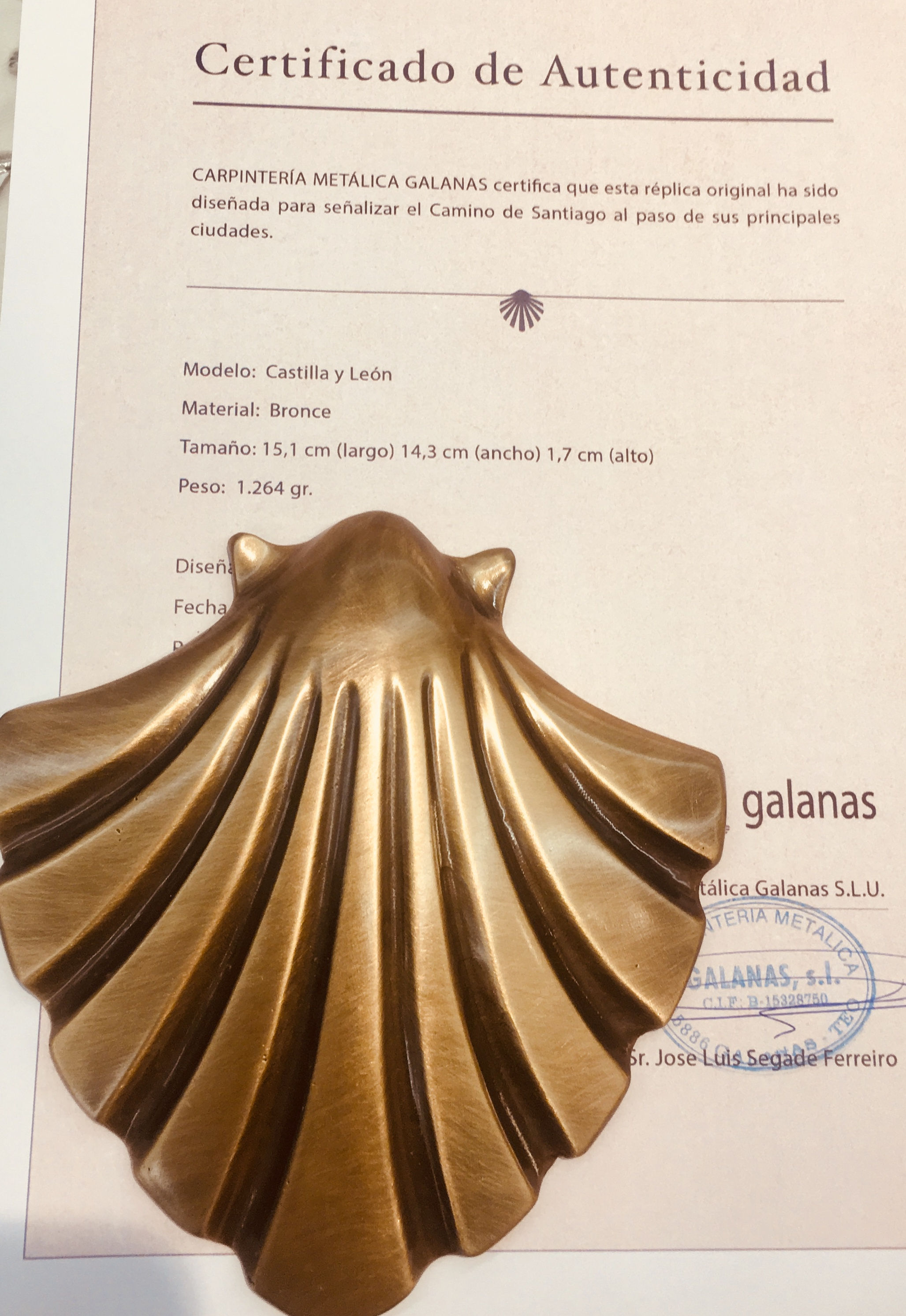 Concha Castilla y León bronce