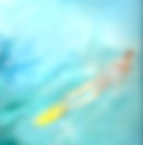 Staff~~element65.jpg