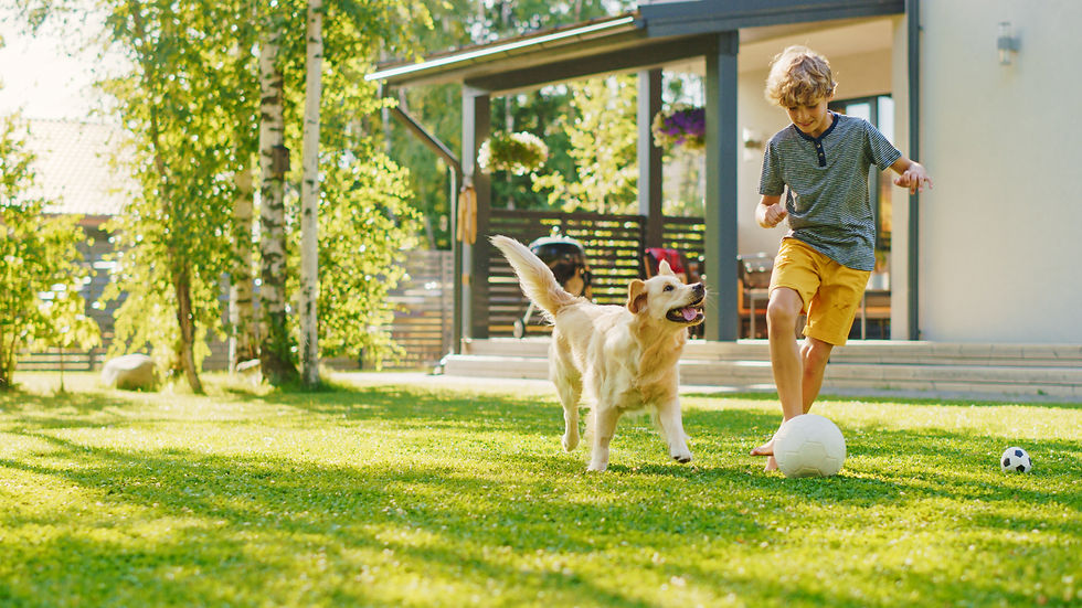 AdobeStock_392251592.jpeg