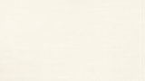 Brush and Palette_Tallahassee Art Lessons for Children and Adults_Header Background-2.jpeg