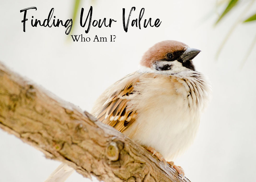 Finding Your Value (1).jpg