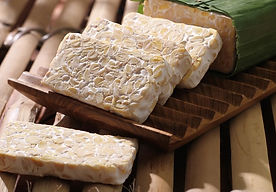 varieties-of-tempeh-1684252184.jpg