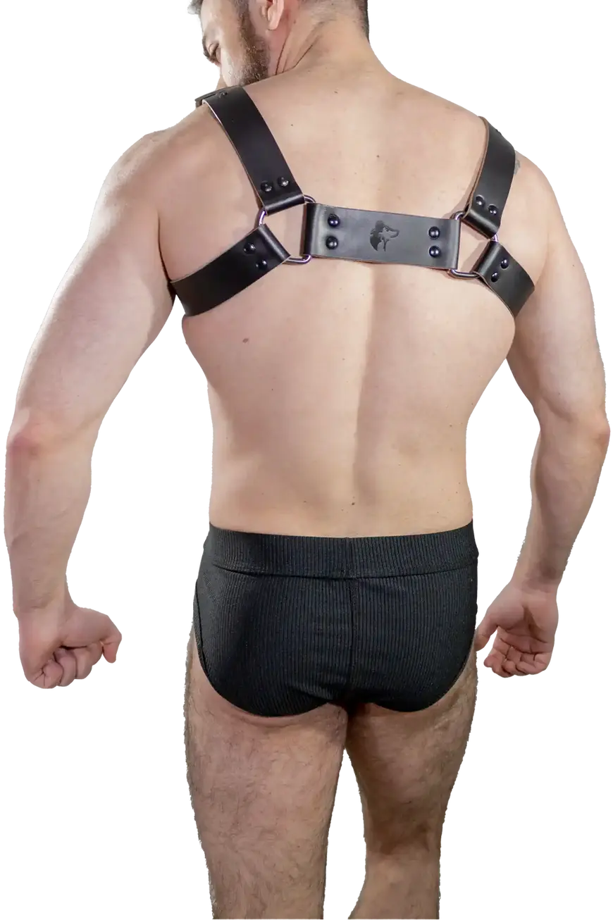 Pose espalda de Leather BLACK – Arnes Pardus