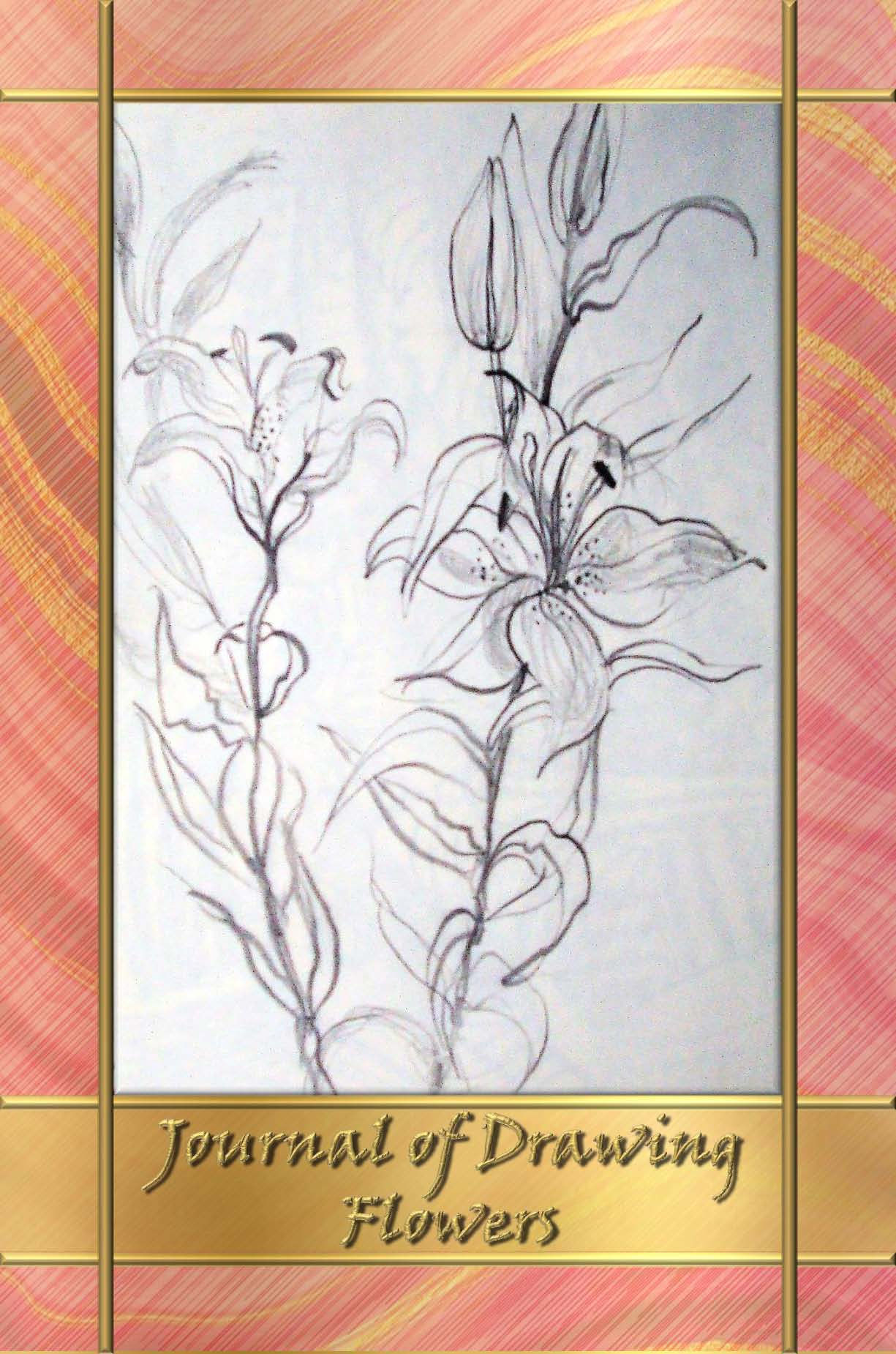 A Journal of Drawing - Flowers