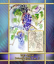 Eye Appeal - Coloring Book 3 cover_Page_1.jpg