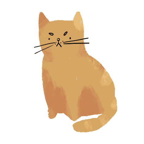 cat.gif