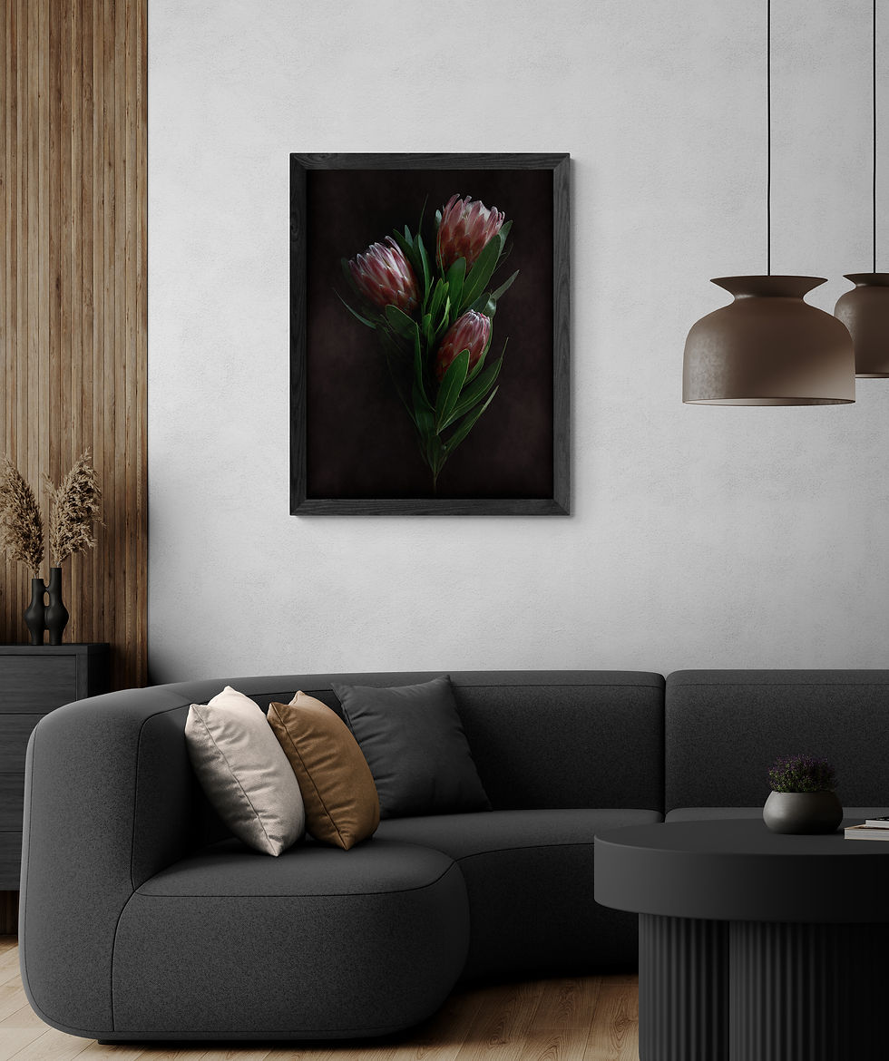 Thumbnail: Dusty Pink Proteas - Dark floral artwork - Moody botanical photography print by Nadia Culph