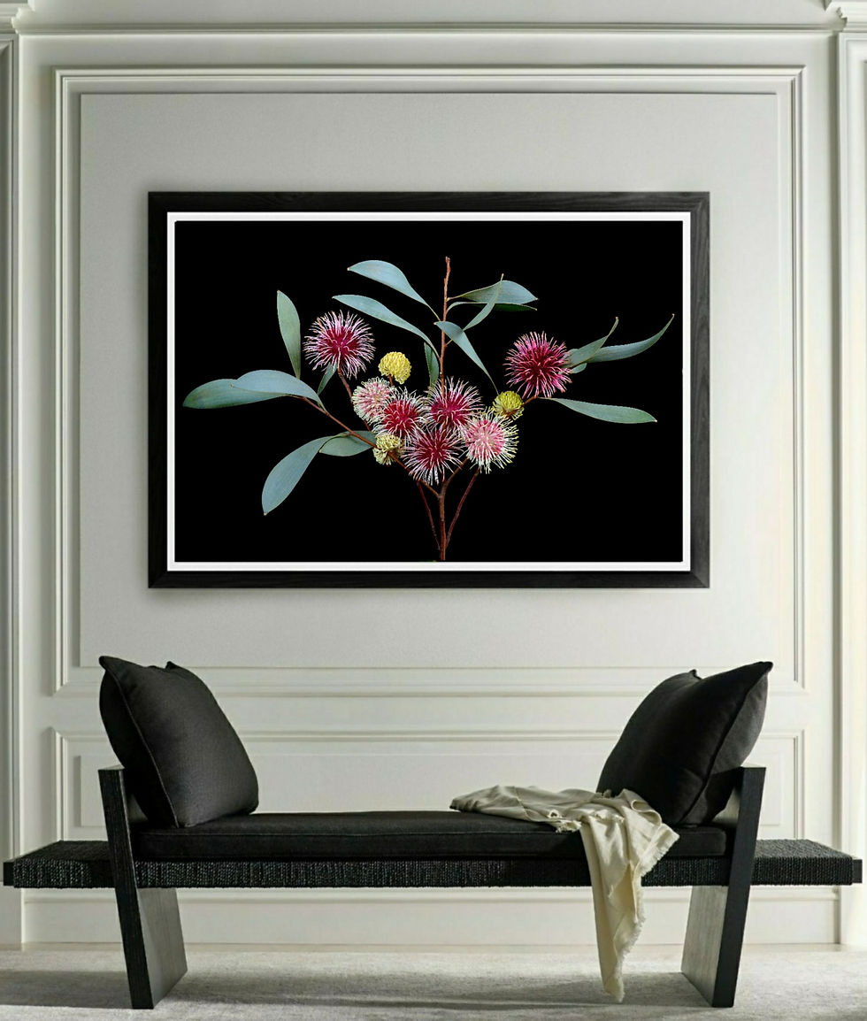 Kodjet Cluster ~ Colourful Australian Floral Print ~ Botanical Wall Art by Nadia Culph therandomimage.com