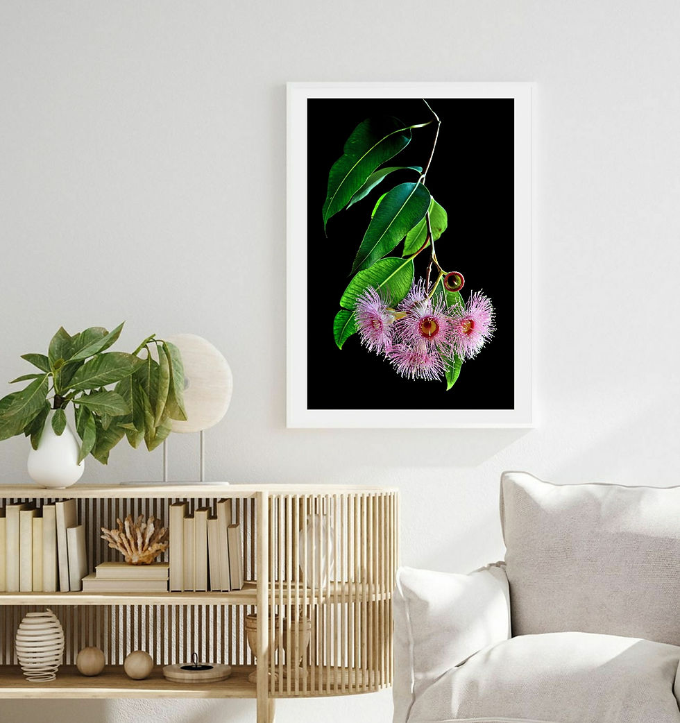 Thumbnail: Rosea Flores ~ Australian Floral Artwork ~ Pink Blossoms Photography Print by Nadia Culph therandomimage.com