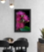 Pink blossoms print ~ Australian botanical artwork ~ Photography by Nadia Culph ~ Digital download