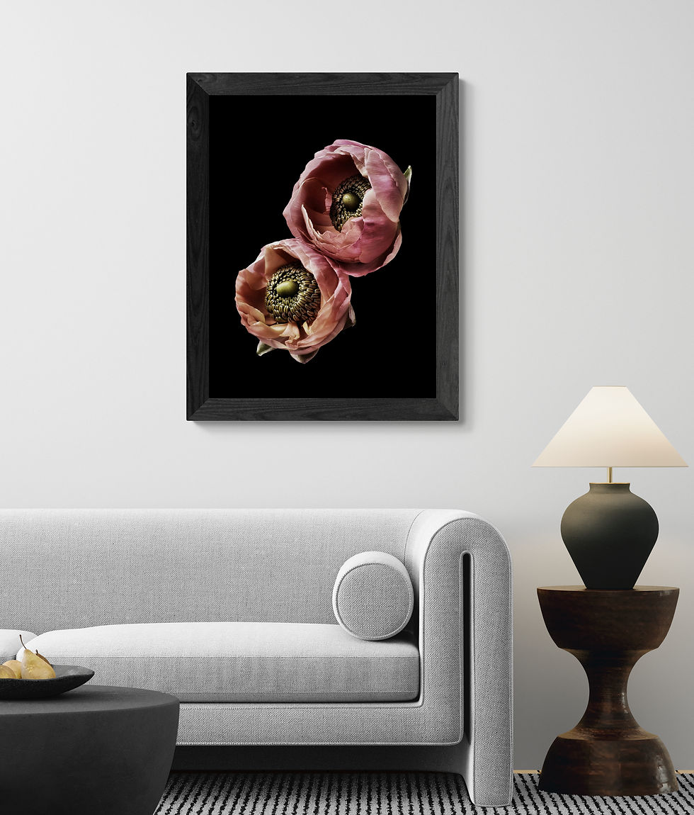 Thumbnail: Dusty Pink Ranunculus Flower Print, Moody Still Life (Digital Download)