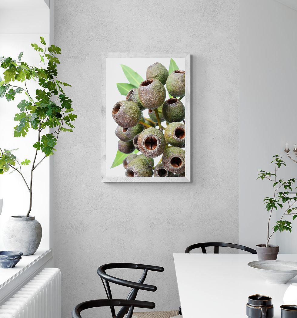 Thumbnail: Gum Nuts downloadable print ~ Still Life botanical wall art by Nadia Culph