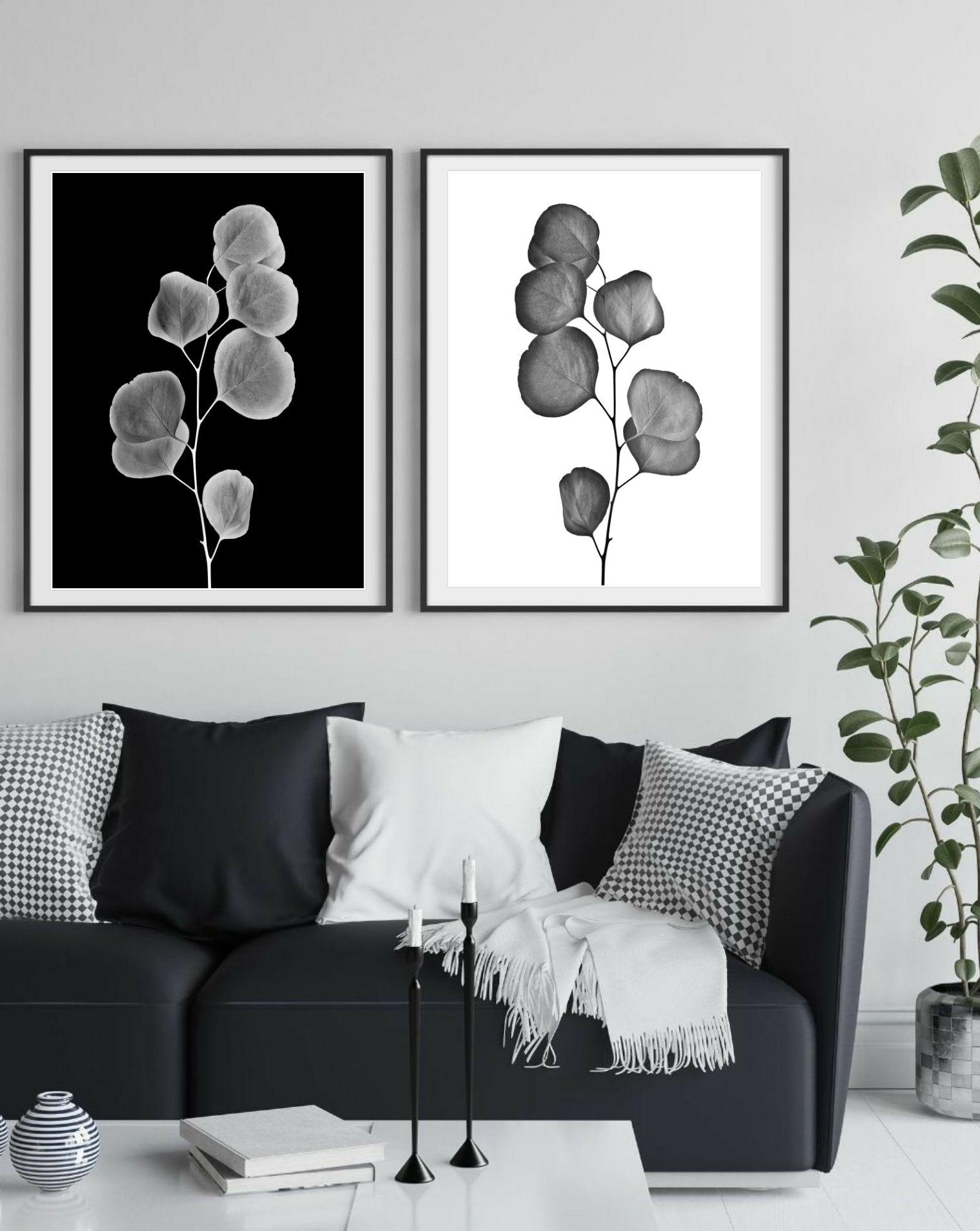 Silver Dollar Diptych ~ Black and White Photography Prints - Australian wall art by Nadia Culph