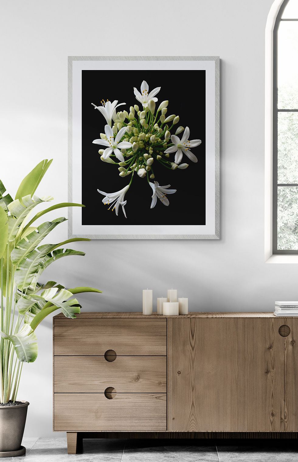 Thumbnail: Agapanthus in Bloom - White flower artwork - Floral wall art - Photography print by Nadia Culph