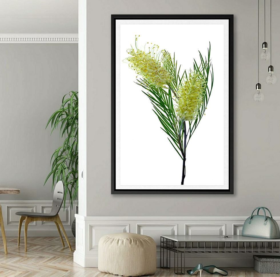 Yellow Grevillea Stem ~ Printable Australian Floral Art ~ Digital Download therandomimage.com