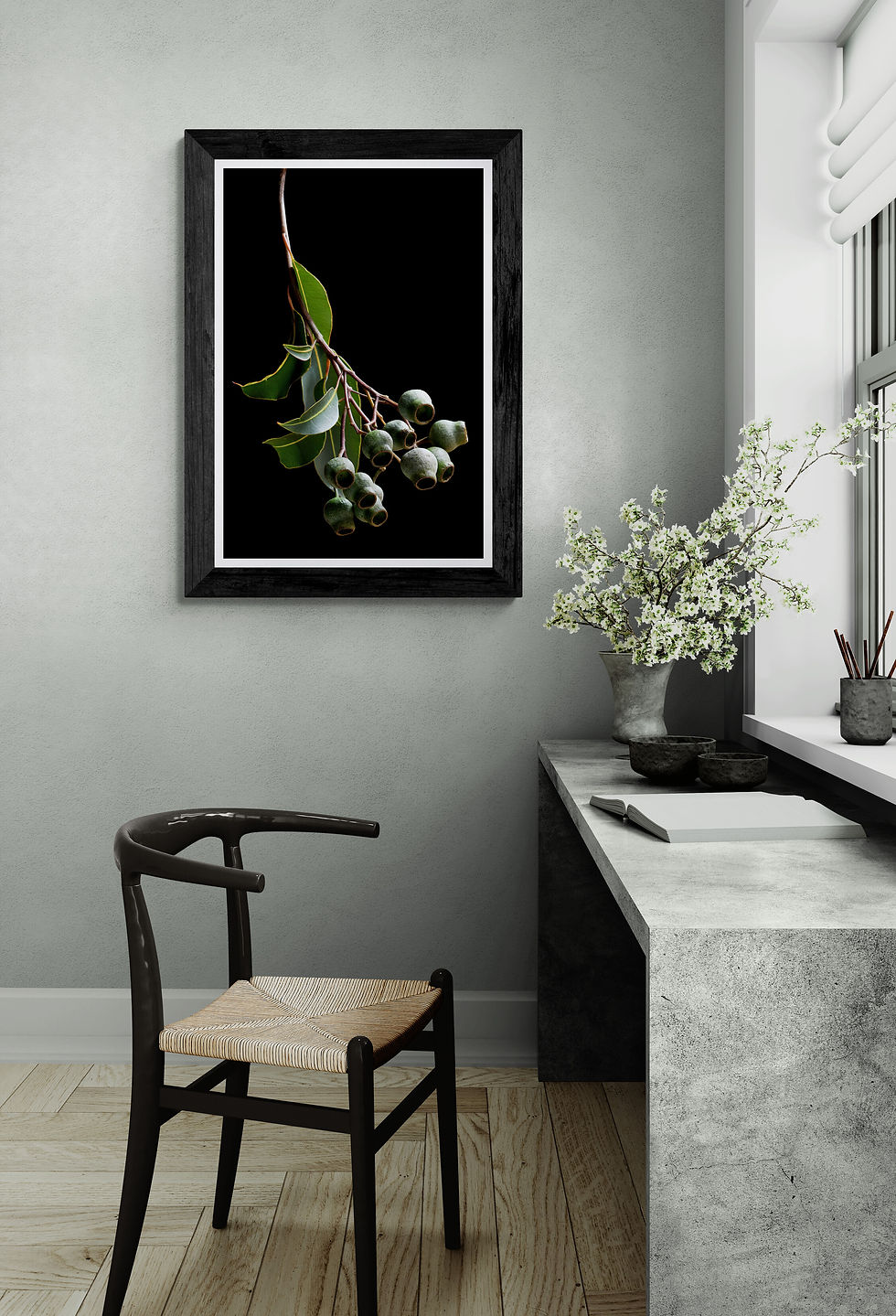 Gum Nuts Stem - Australian botanical still life artwork - Green and black nature wall art - photography print by Nadia Culph