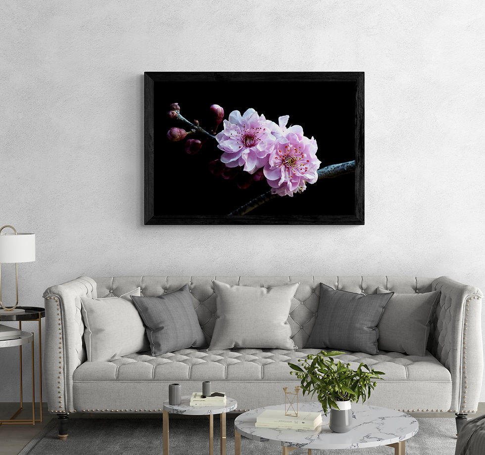 Thumbnail: Plum Blossoms - Pink floral wall art - Flower still life artwork - Photography print by Nadia Culph