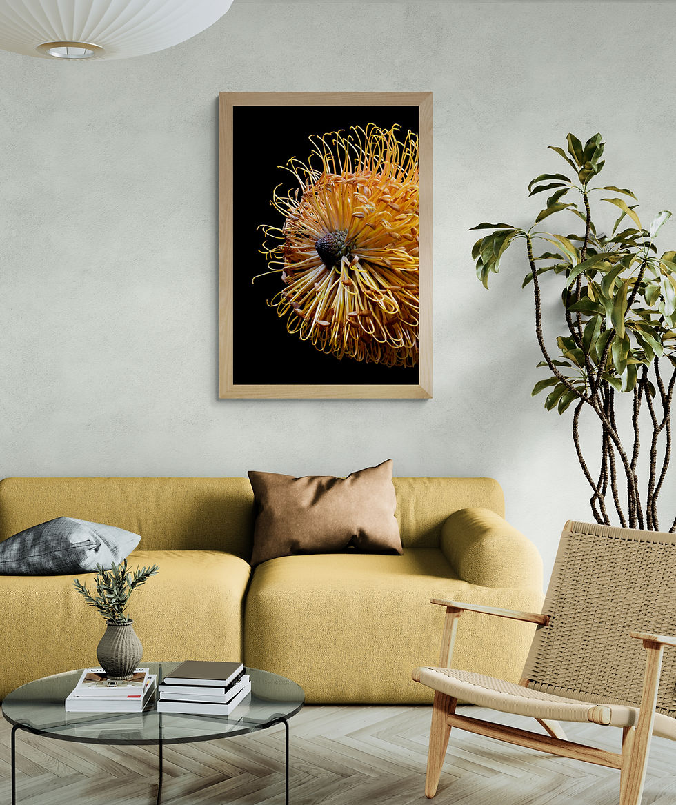 Thumbnail: Banksia Macro Print - Australian botanical wall art print - Flower still life photography by Nadia Culph