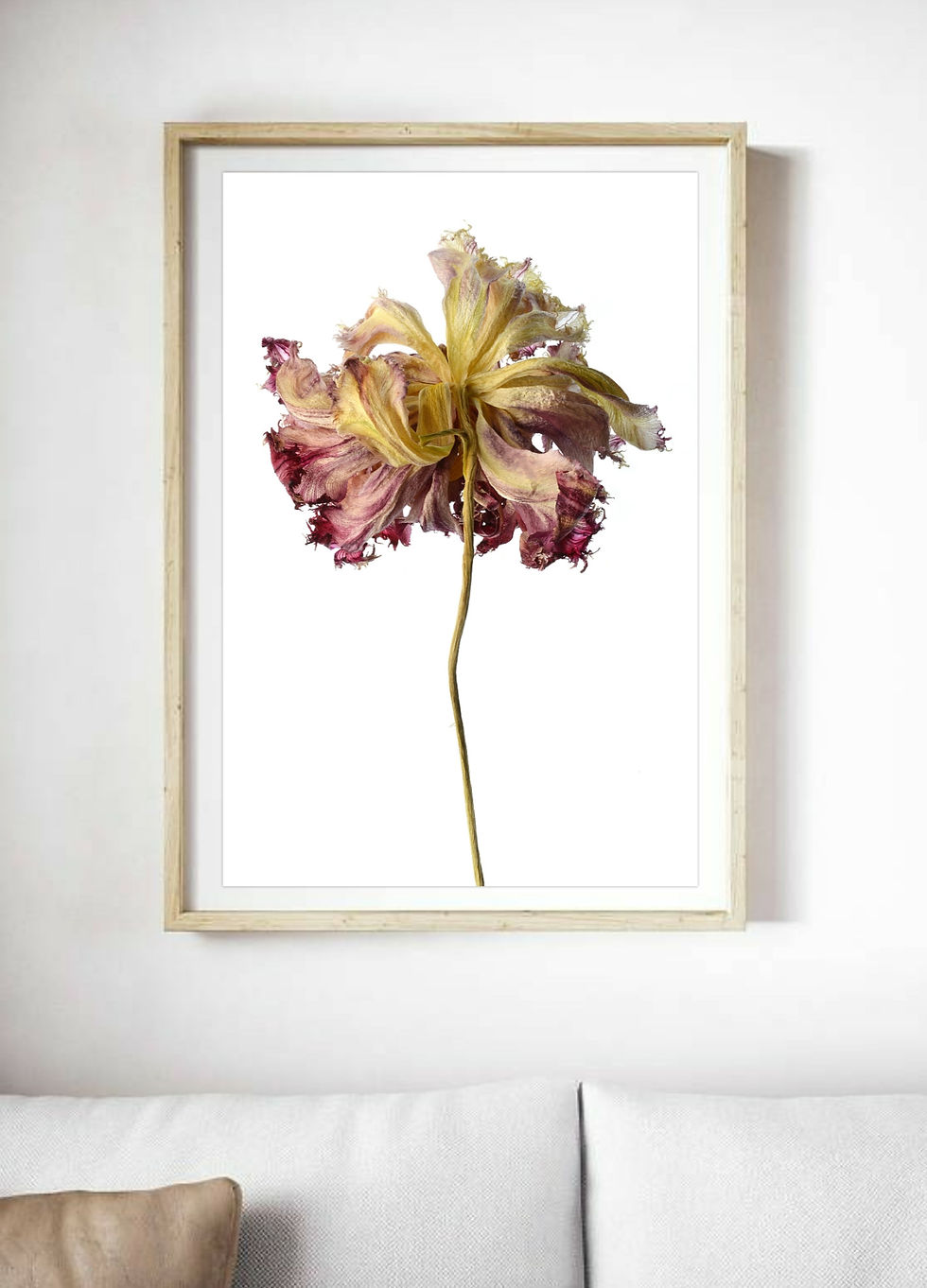 Beauty In Death ~ Dried Flower Photography Print - Floral wall art by Nadia Culph