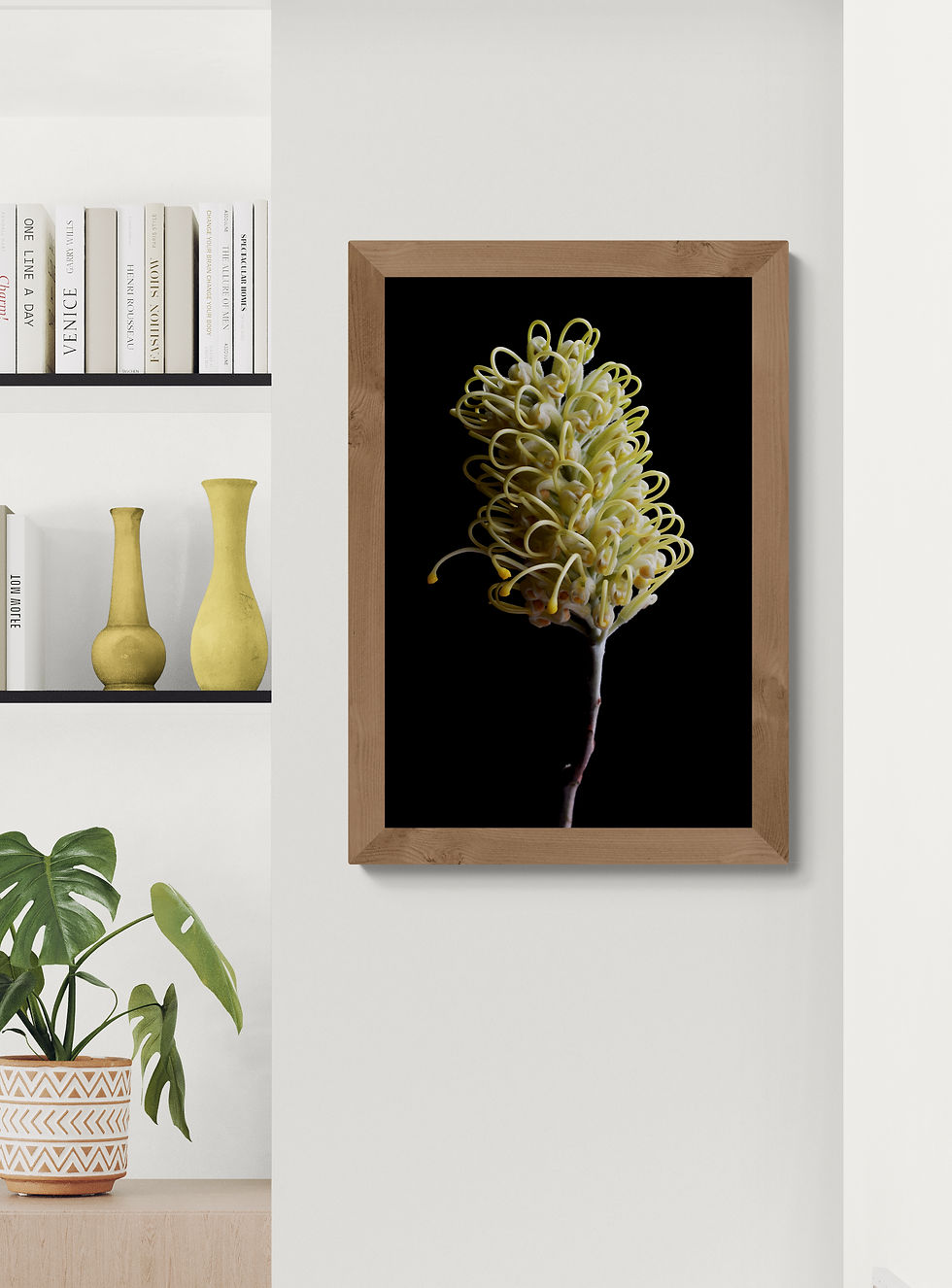 Thumbnail: Whiteana Grevillea - Australian Botanical wall art - Flower photography print by Nadia Culph