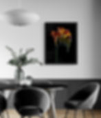 Orange Freesias - minimalist floral wall art - flower still life print - photography by Nadia Culph