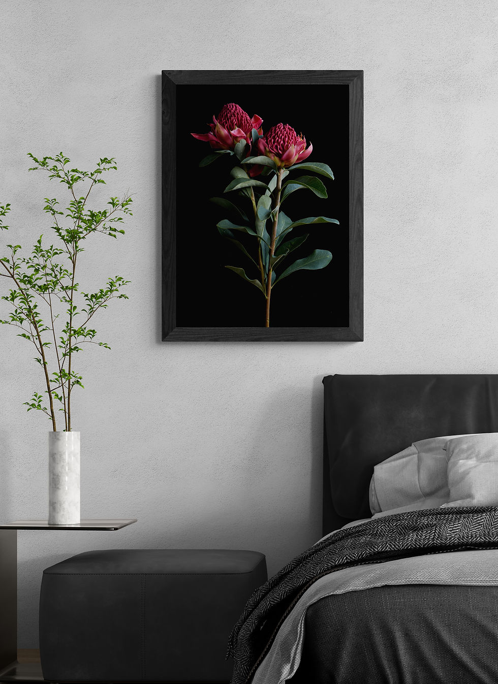 Thumbnail: Waratah - Red flower photography print - Australian floral wall art by Nadia Culph