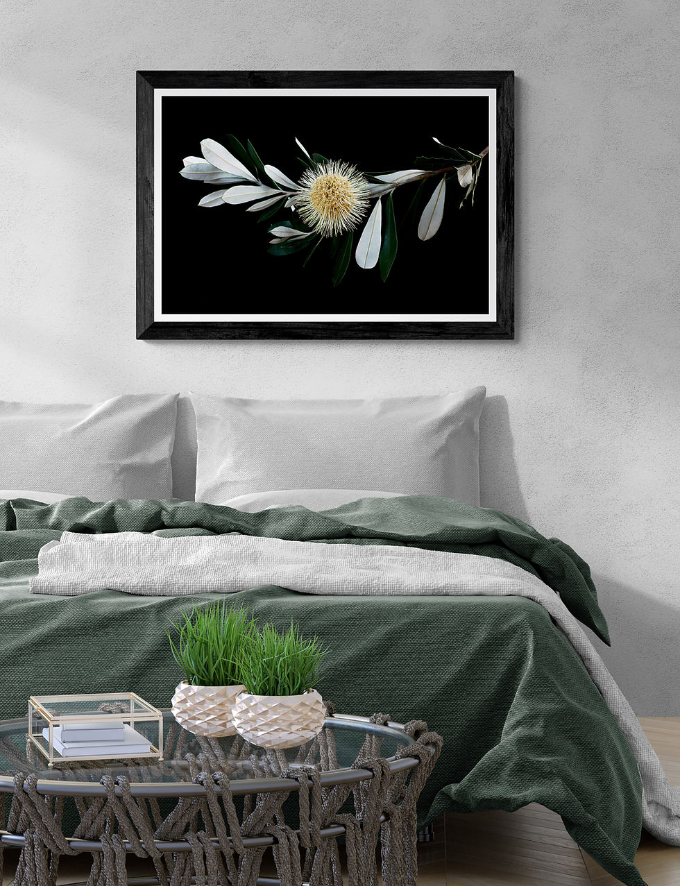 Sentinel Banksia Stem - Australian botanical print - Still life plant artwork - fine art photography by Nadia Culph