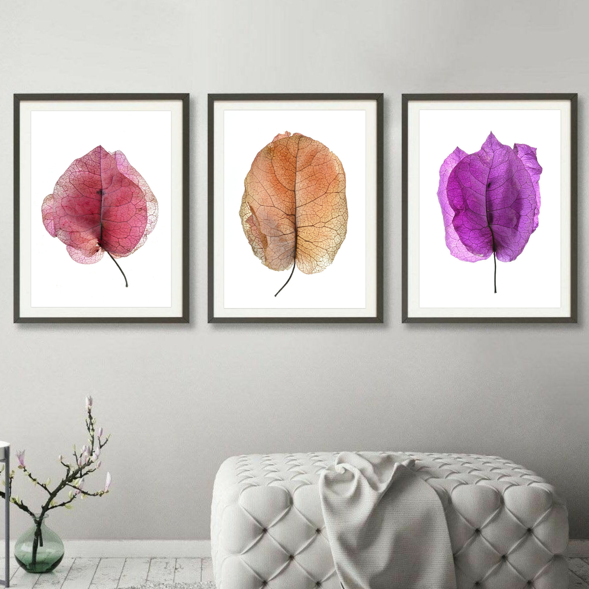 Bougainvillea Triptych ~ Set of 3 Colourful Floral Artworks - Botanical wall art - Photography prints by Nadia Culph