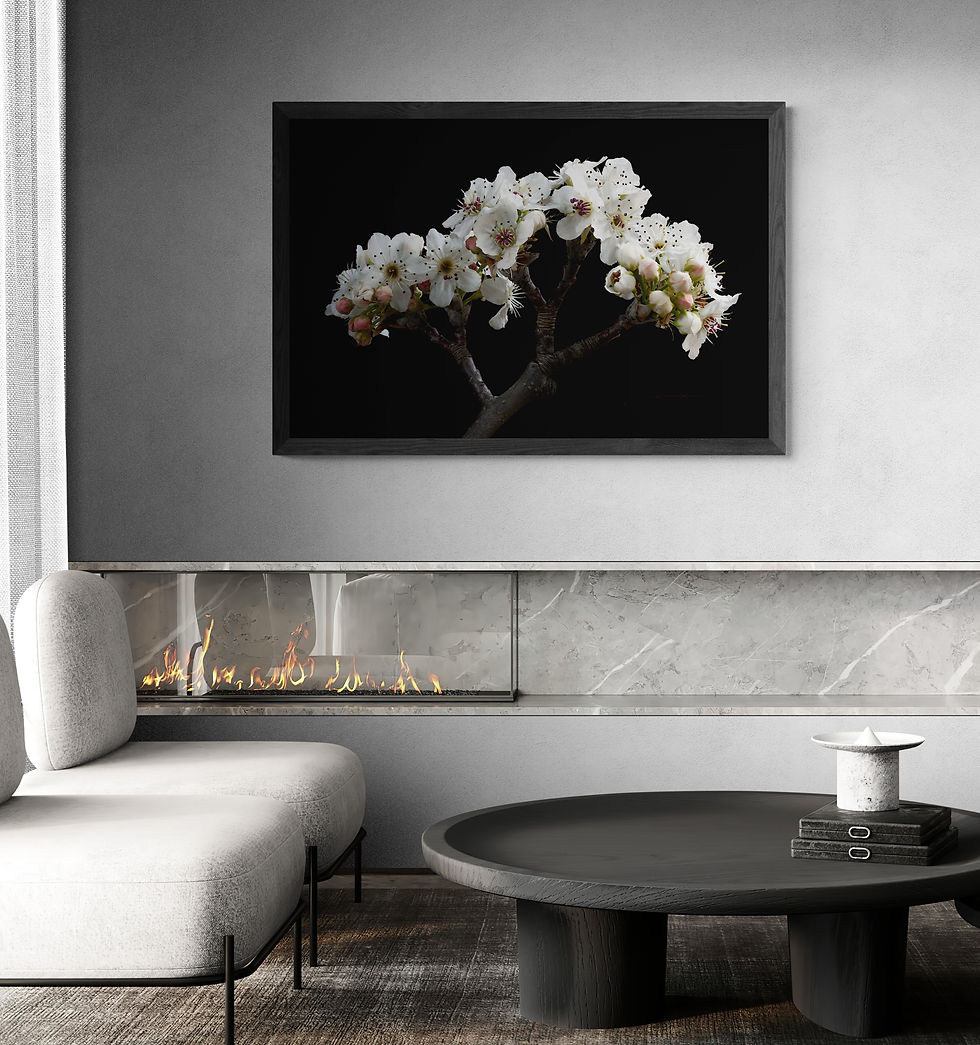 Thumbnail: Nashi Pear Blossoms - White floral wall art - Macro botanical photography print by Nadia Culph