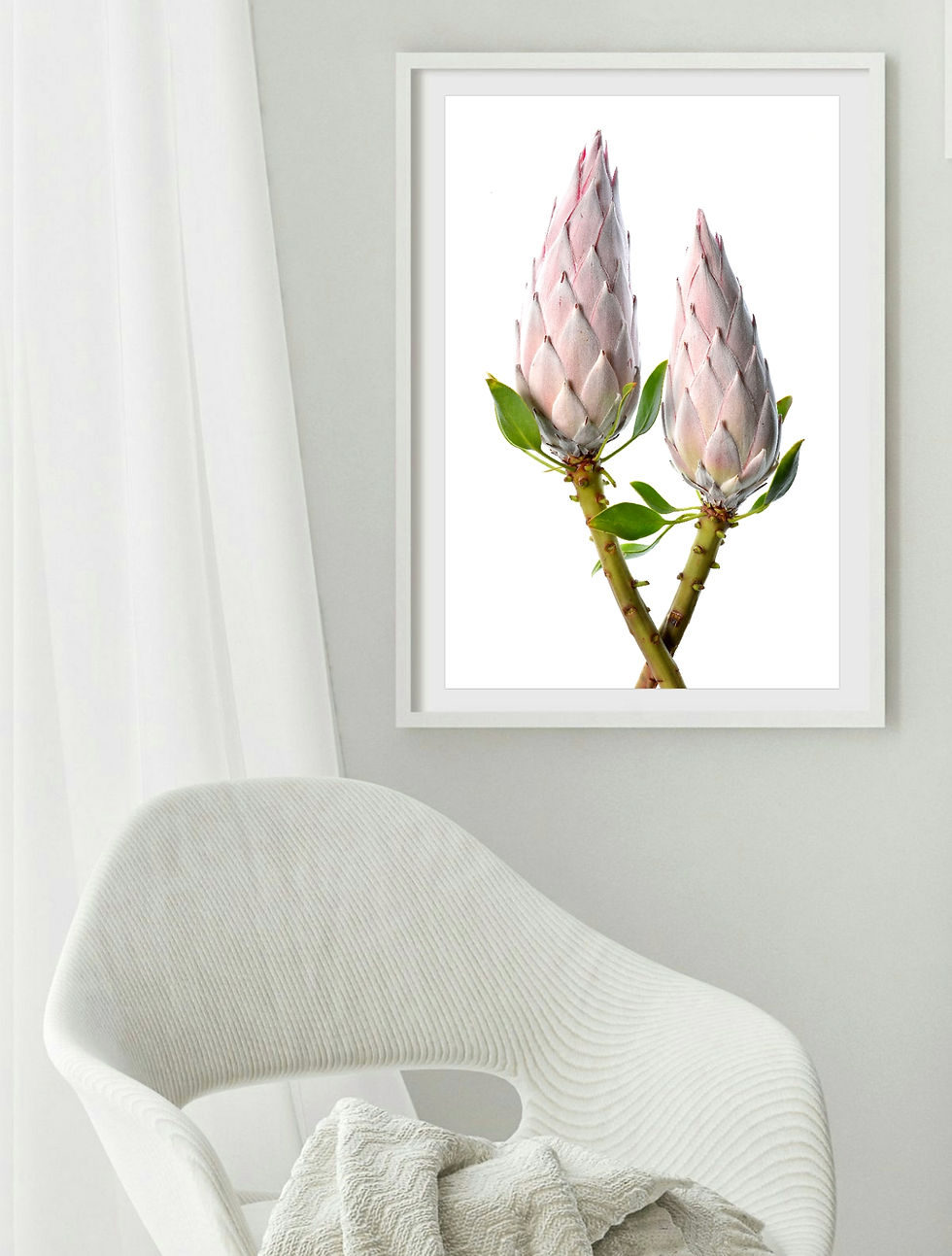 Protea Pair ~ Floral Wall Art ~ Fine Art Flower Photography by Nadia Culph therandomimage.com
