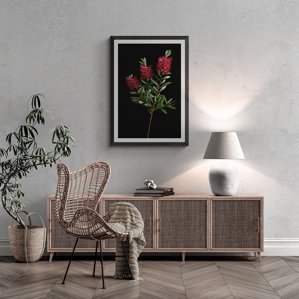 Thumbnail: Red Bottlebrushes - Australian Floral Artwork - Moody Botanical Wall Art - Photography by Nadia Culph
