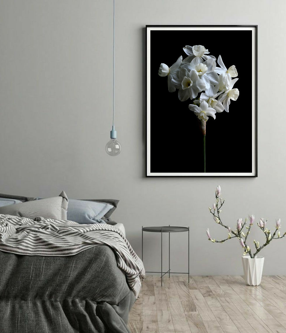 Jonquil ~ Moody Floral Wall Art Flower photography print by Nadia Culph